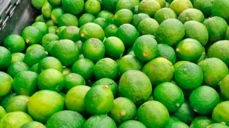 La baja producción de limón ayuda a que aumente su exportación