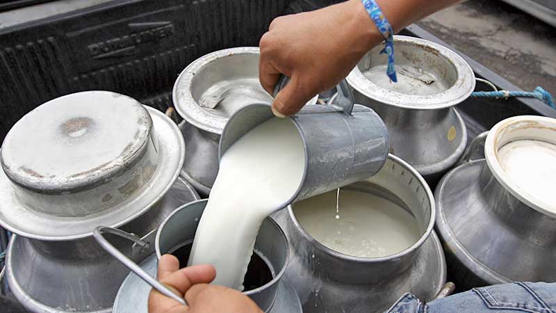 Importación de leche hacia México cayó 8% por covid-19: USDEC