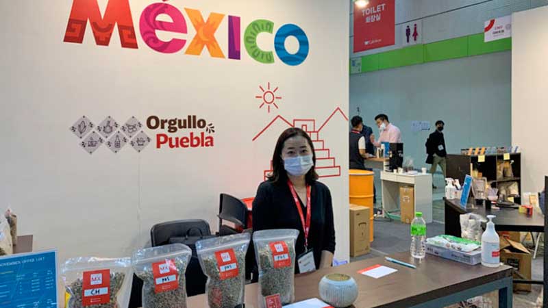 Potencial comercial para puebla en exportación de café a Corea del Sur