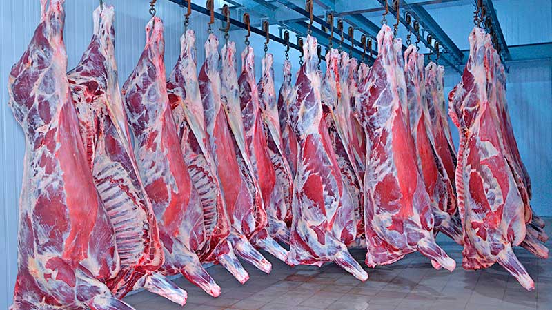 México logró reducir en 27% las importaciones de carne de res de Estados Unidos