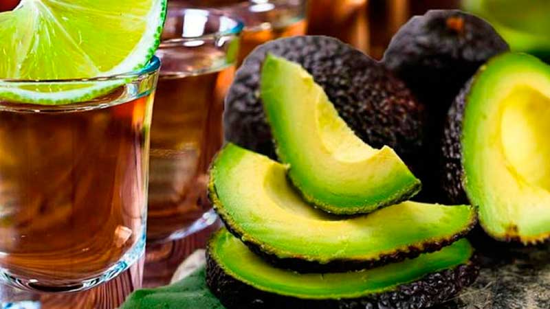 Sader exportará aguacates, berries y tequila a mercados asiáticos en 2021