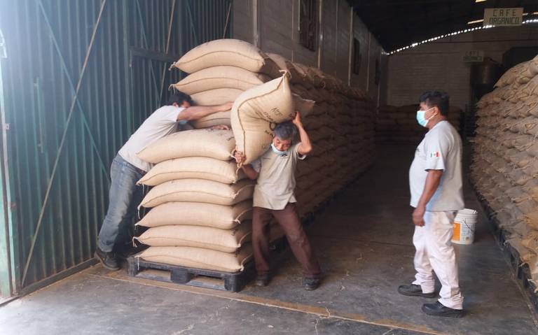 Exportan primeras 19 toneladas de café orgánico certificado a Estados Unidos