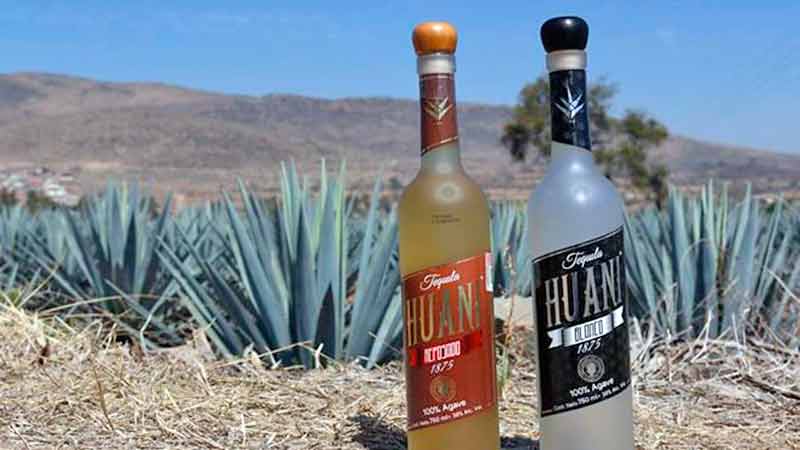 Nuevo Tequila de Guanajuato enamora a consumidores de Estados Unidos y Finlandia.