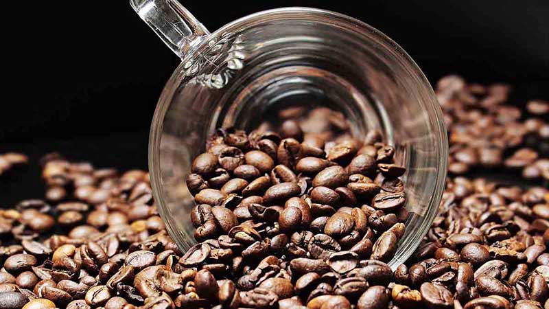 Nestlé abrirá innovadora planta de café en Veracruz