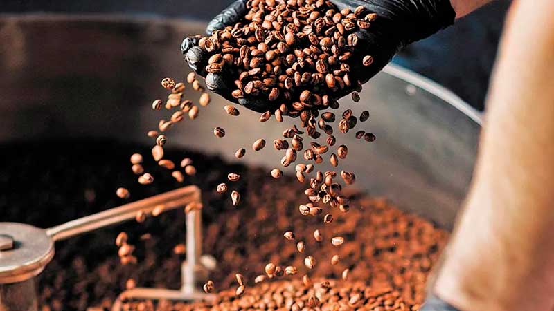 Expectativas de la producción y comercio de café en México