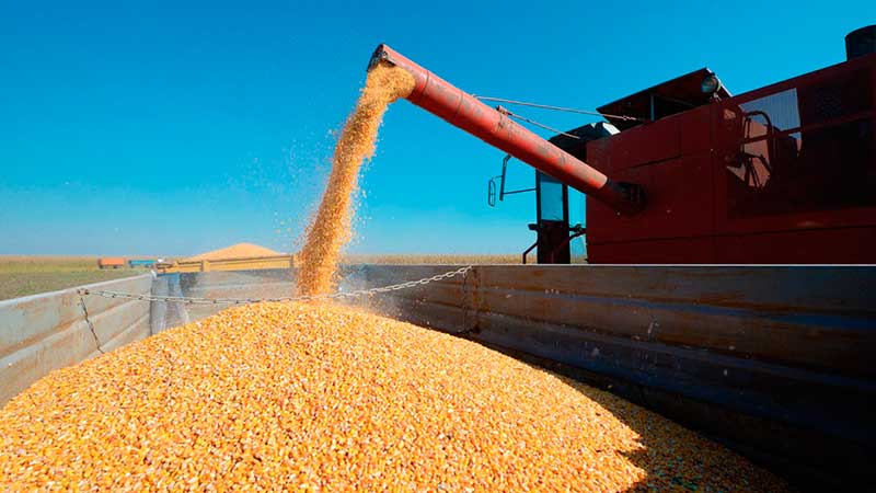 Importación de granos en primer bimestre de 2021, 1.2% mayor que año anterior