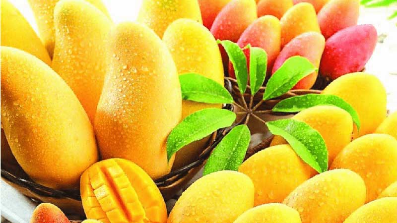 México,segundo país exportador de mango en el mundo