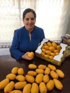 México,segundo país exportador de mango en el mundo