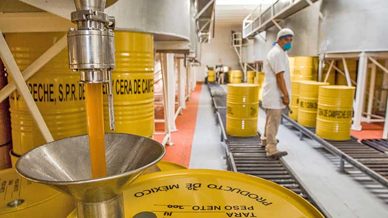 Producción de miel mexicana crecerá 22.4 por ciento este año