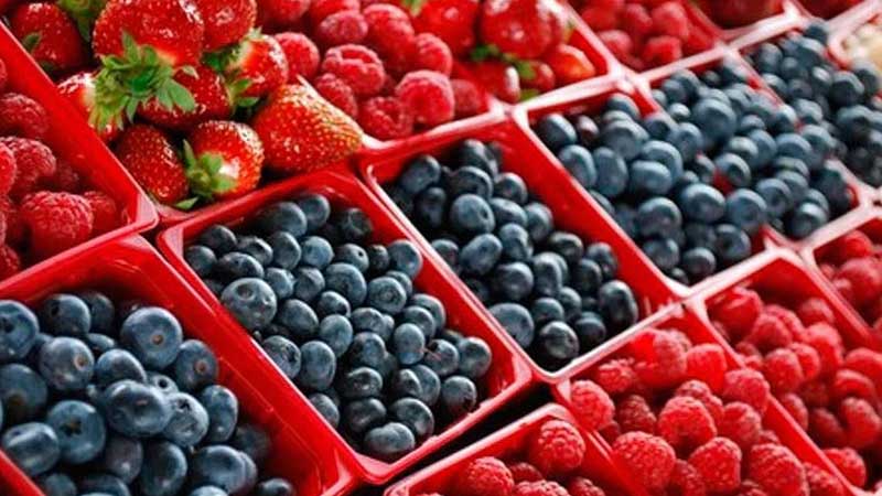 La pandemia impactó la exportación de berries