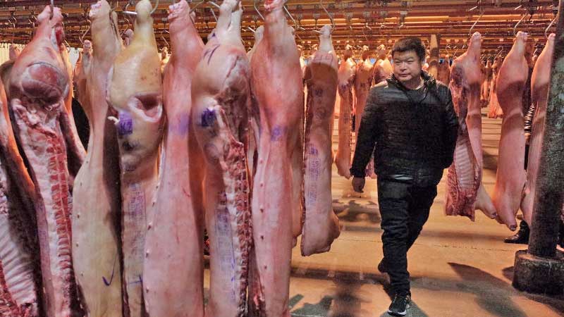 Hasta el cierre de mayo, China importó más de 4 millones de toneladas de carne de cerdo, res y pollo