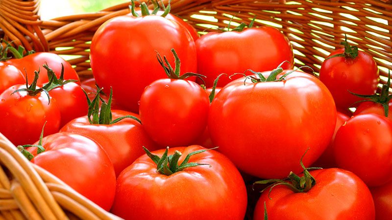 México va en el 2021 por nuevo récord en exportación de tomates