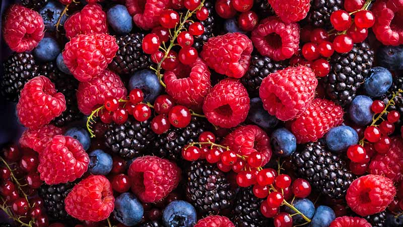 Pese a pandemia, industria mexicana de berries mantiene su crecimiento en 2020 y 2021