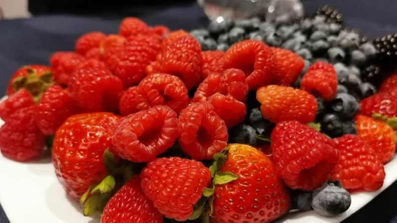 Se convierte Michoacán en líder indiscutible en industria de berries