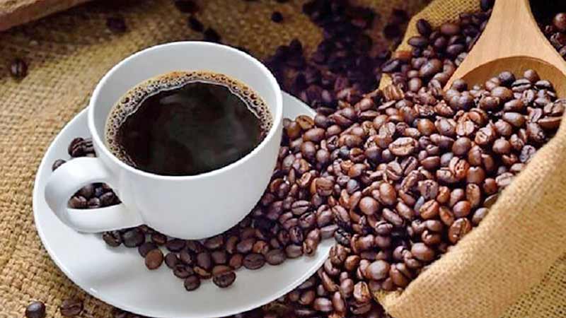 Veracruz, segundo productor de café en México