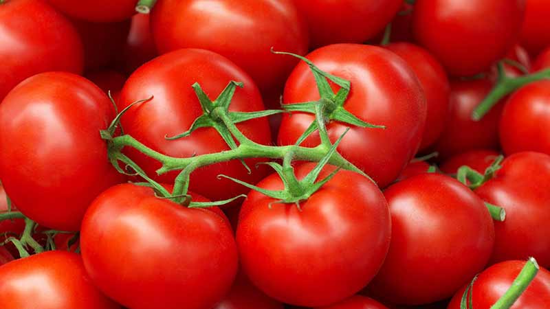 México externa preocupaciones en EU sobre las exportaciones de tomate y carne de bovino