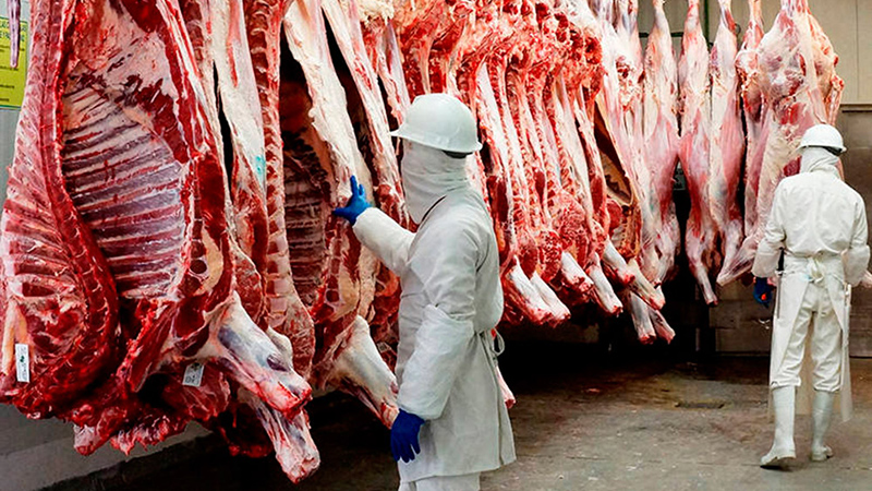 Caen en 10% las exportaciones mexicanas de carne de res hacia Estados Unidos