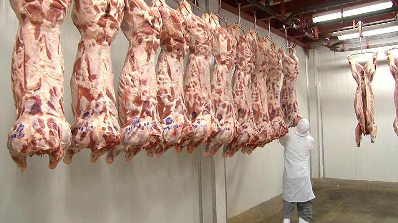 Japón es el país que más carne de cerdo compra a México: Sader