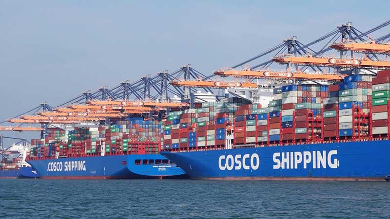 Cosco leads the final charge in carrier hunt for any tonnage to charter