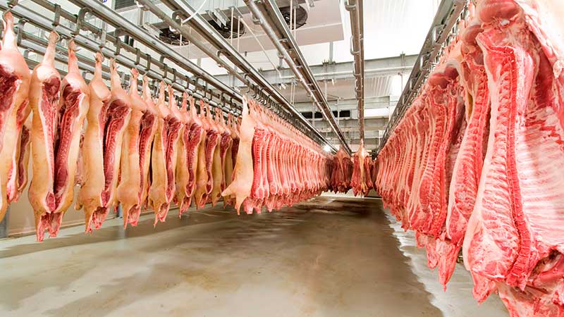 Crece en casi 50% el valor de las importaciones mexicanas de carne