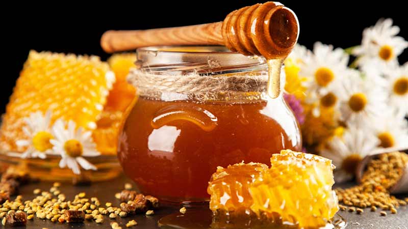 Está México en primeros 10 en producción de miel