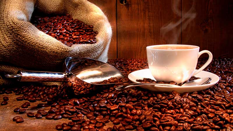 Cultivadores tolimenses conocerán en México el modelo del mayor exportador de café orgánico