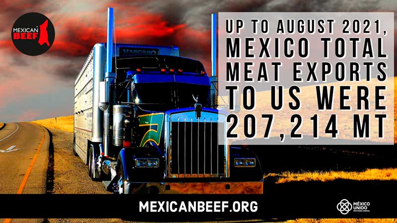 Estados Unidos desaceleró sus importaciones de carne de res en 8%; México continúa como segundo mayor exportador