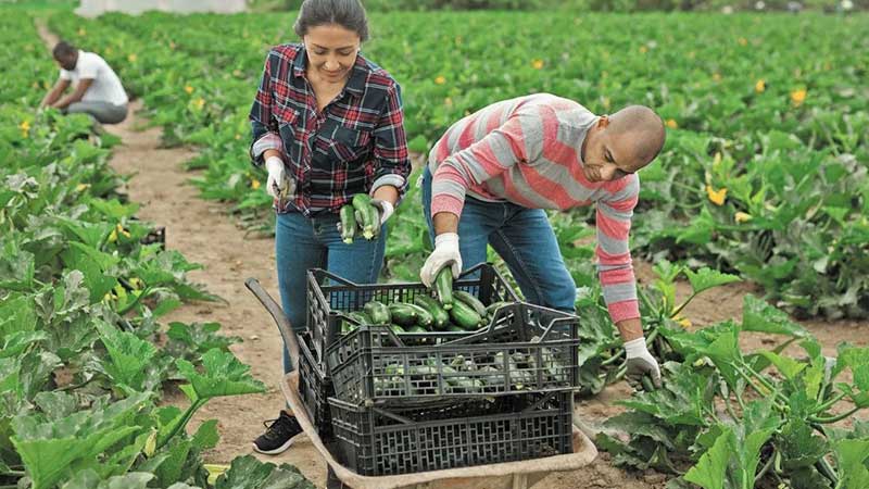 Agroindustria de Jalisco va por mercados europeos