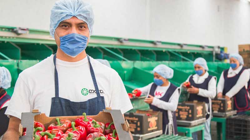 Acuerdan impulsar exportaciones agroalimentarias a Emiratos Árabes Unidos