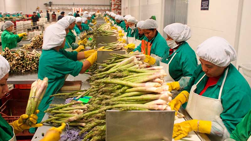 En 29 años México tiene los más altos envíos agroalimentarios