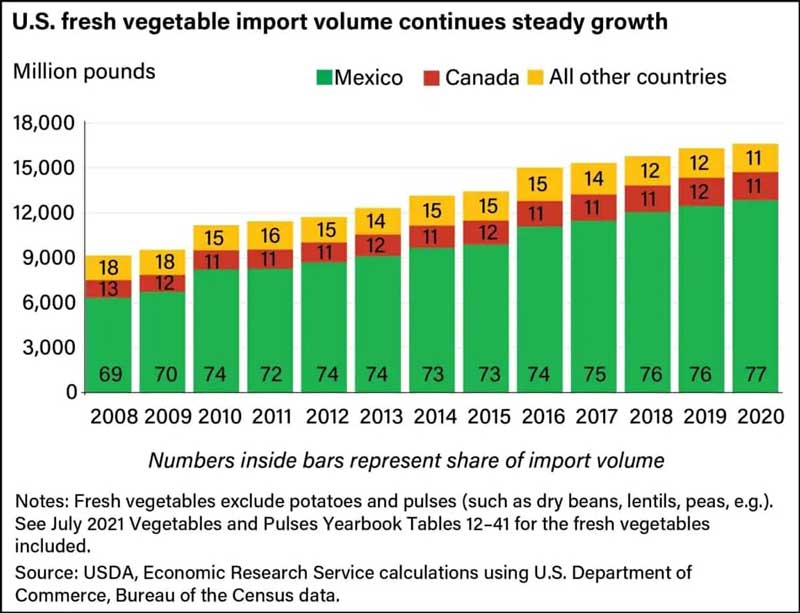 La Importación de hortalizas frescas de México seguirá creciendo