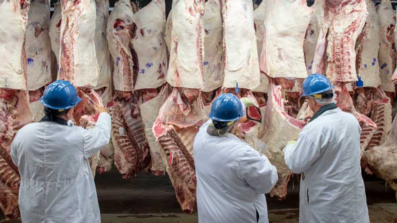 En 2021, México incrementó 2% sus exportaciones de carne de res hacia EE. UU.