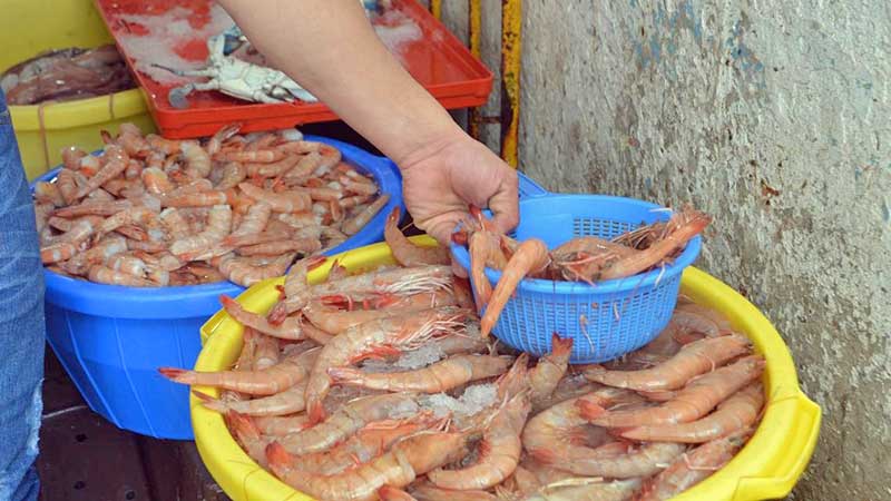 Se exportaron 271 mdd de camarón mexicano en 2021: es la especie marina más solicitada