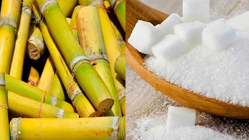 Aumentan el monto del cupo máximo para exportar azúcar a EU a diciembre de 2021