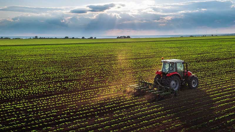 Clúster agroalimentario de Puebla apoyará exportaciones a Europa y Asia