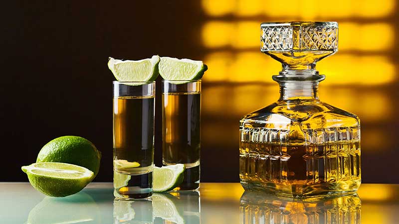Tequila aumentó producción, exportación y consumo de agave