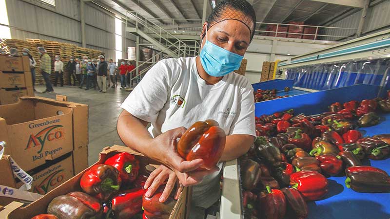 Puebla rompe récord como el estado con mayor exportación agropecuaria