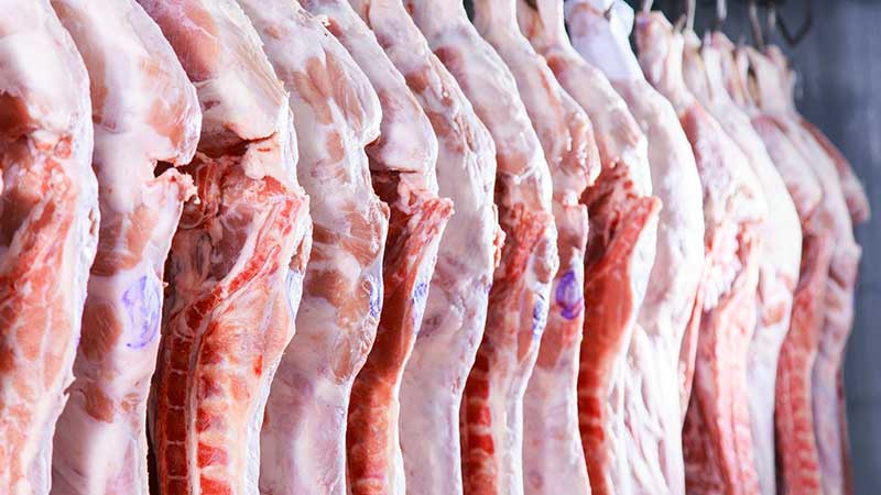 En dos meses, México importó 33% más carne de cerdo de Estados Unidos