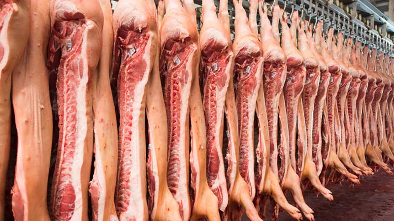México desplaza a Dinamarca como principal proveedor de cerdo a E.E.U.U.