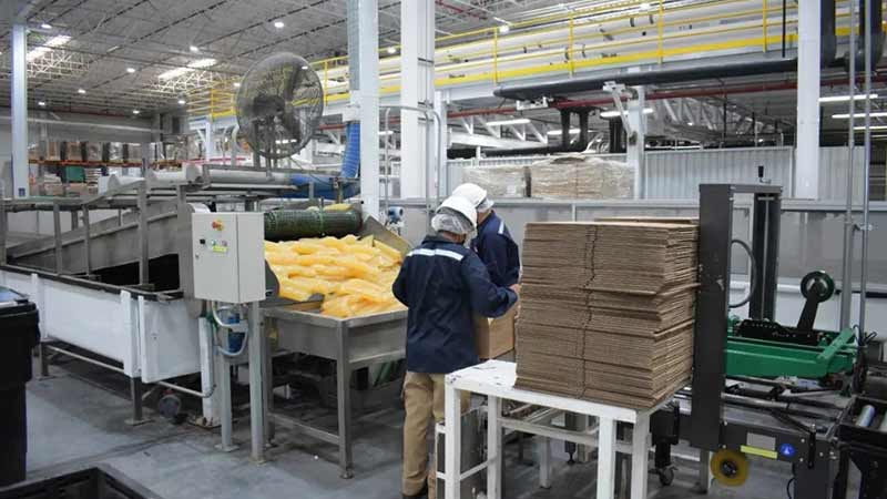Henkel inaugura planta de adhesivos en México con inversión de 33.2 millones de euros