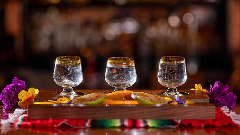 Cervezas, tequila y mezcal lideran las exportaciones agro de México
