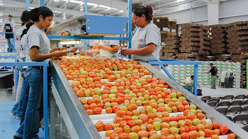 Exporta México a EU agro-productos por 24 mil millones de dólares