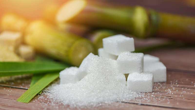 México aumentará 29.6% sus envíos de azúcar a EU, prevé USDA