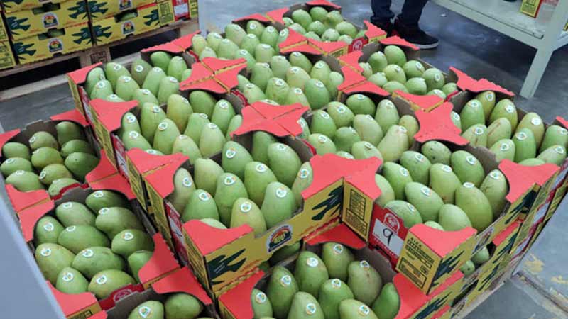 México y EE.UU. certifican plantas de irradiación para fortalecer las exportaciones de frutas y verduras