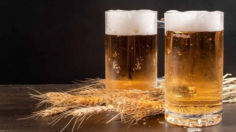 Zacatecas, Coahuila y Nuevo León, líderes de la producción de cerveza