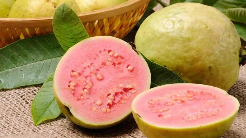 Guayaba, la fruta que encanta a los mexicanos y al mundo
