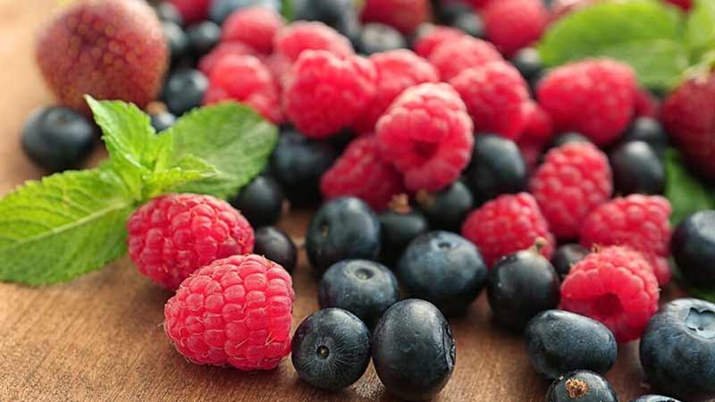 Importaciones de berries de LATAM a EE.UU generan buenos pronósticos para la temporada