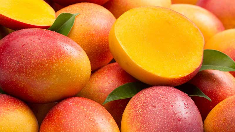 Mango mexicano se prepara para encantar a la industria internacional