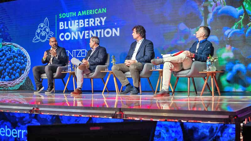 Nuevas variedades y logística: Temas clave para el South American Blueberry Convention 2023