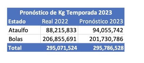 Características de la campaña 2023 de mango mexicano